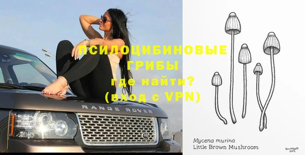 индика Абдулино