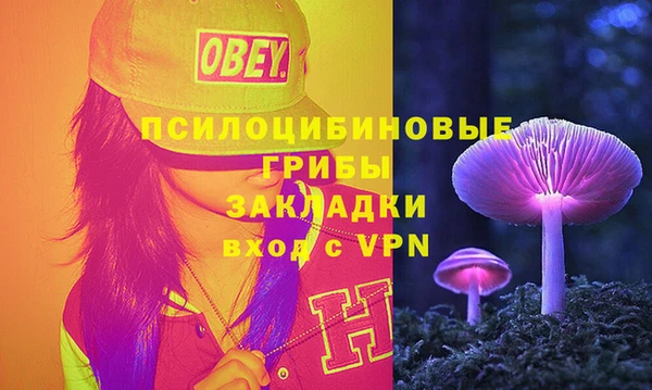кокс Абаза