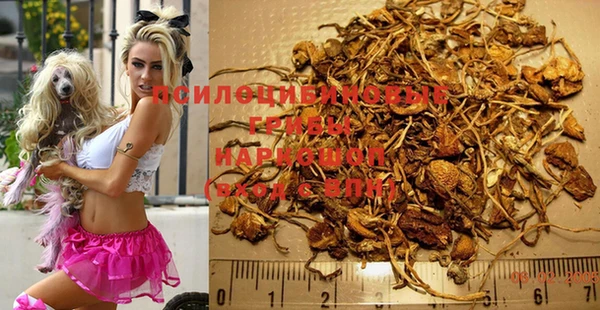 индика Абдулино