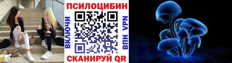 omg Новотроицк Псилоцибиновые грибы Magic Shrooms